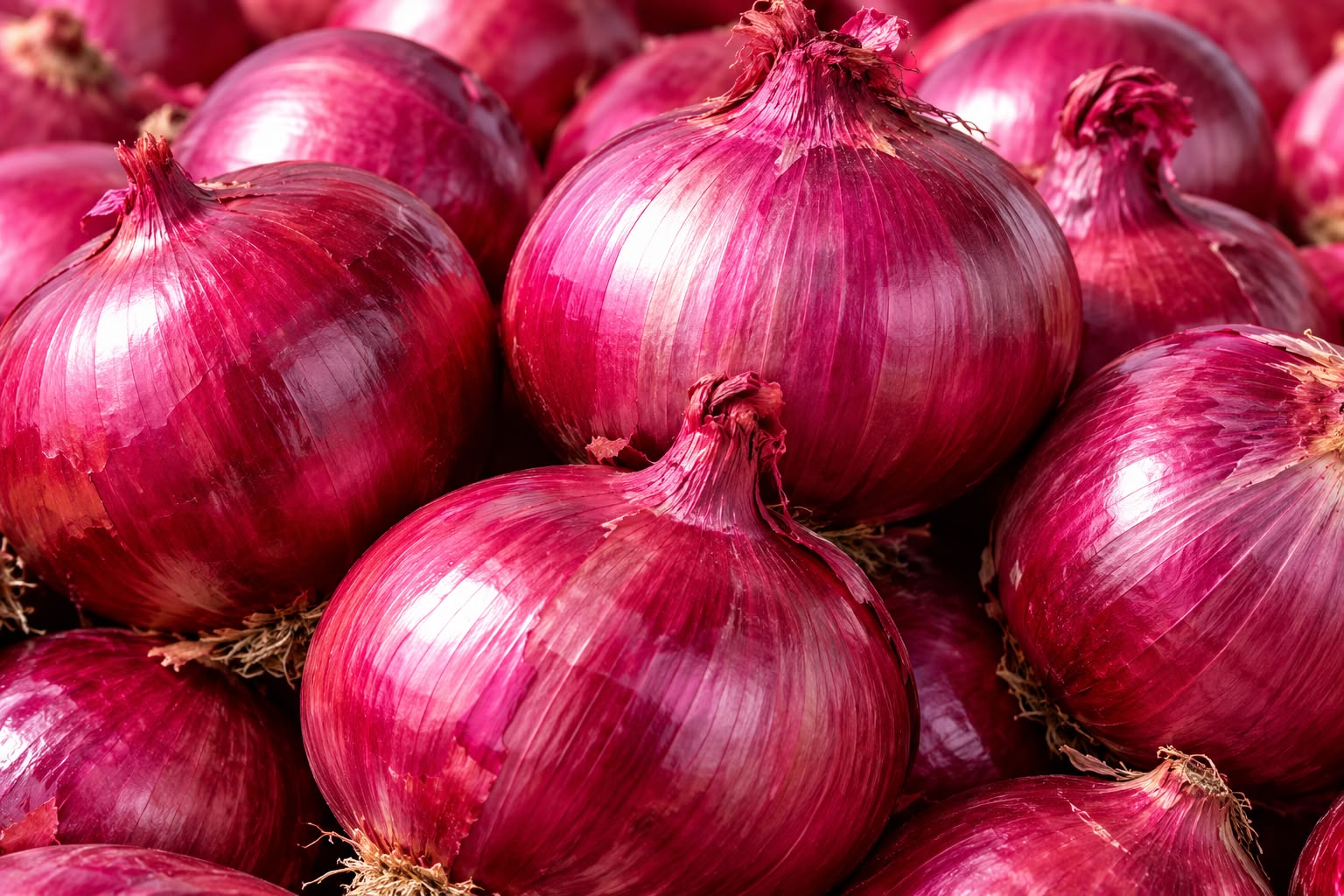 بصل - ثروه